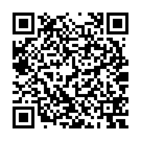 QR code for 0INV196