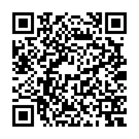 QR code for 0IPP763