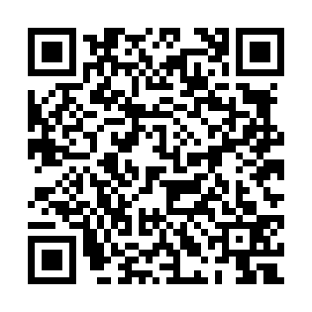 QR code for 0LEL333