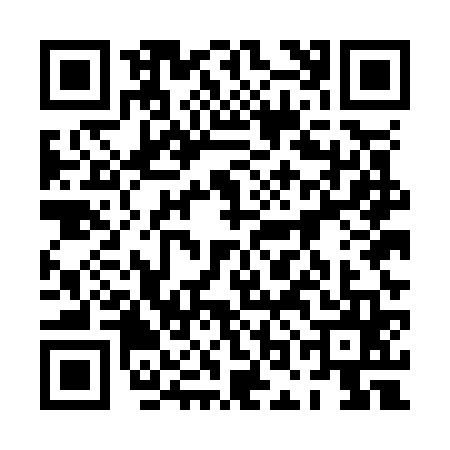 QR code for 0OEO656