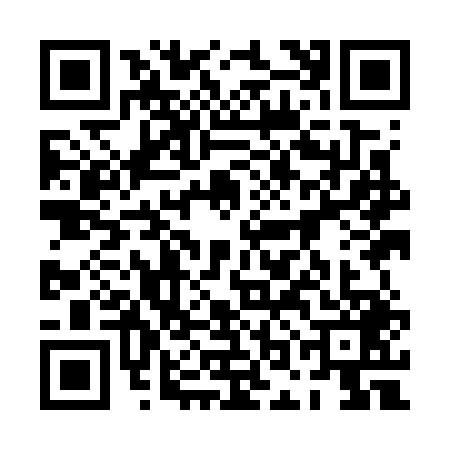 QR code for 0OIG495