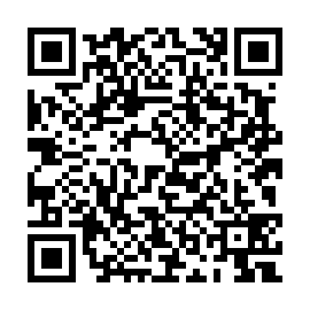 QR code for 0OLD391