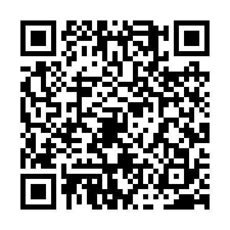 QR code for 0OLR329