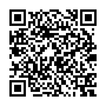 QR code for 0PKR313