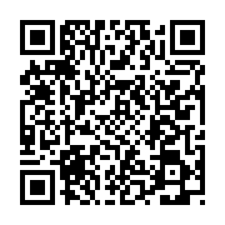 QR code for 0POJ460