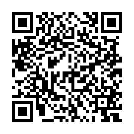 QR code for 0POM411