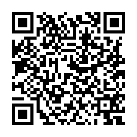 QR code for 0QSI541