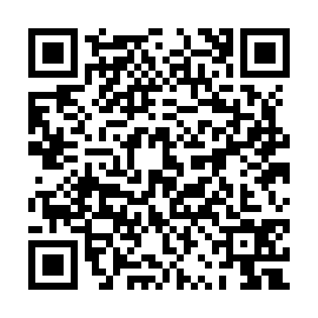 QR code for 0RAJ341