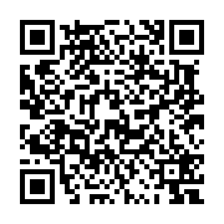 QR code for 0RAL295