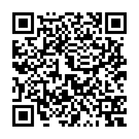 QR code for 0THE347