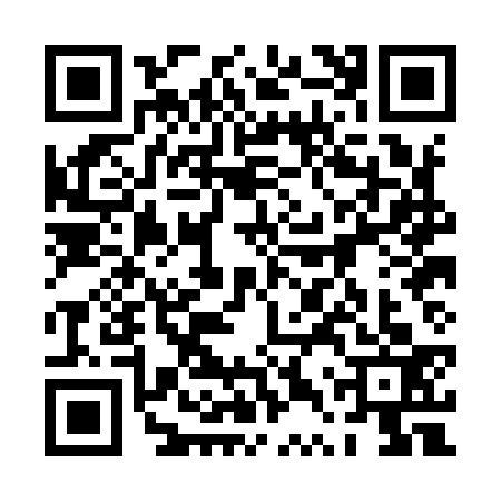 QR code for 0TPI333