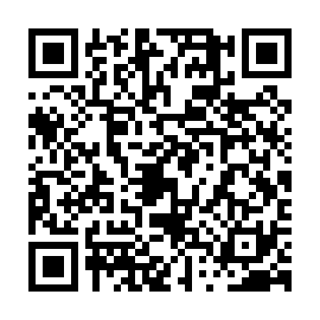 QR code for 0TSP311
