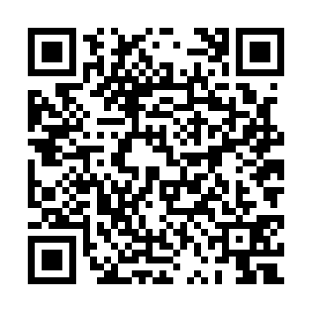 QR code for 0VNA313