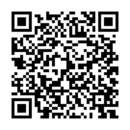 QR code for 0XDE069