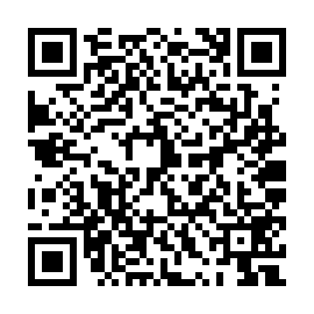 QR code for 0XFS595