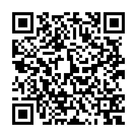 QR code for 0XIN733
