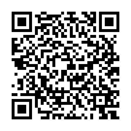 QR code for 0XJJ236
