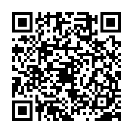 QR code for 0XJS413