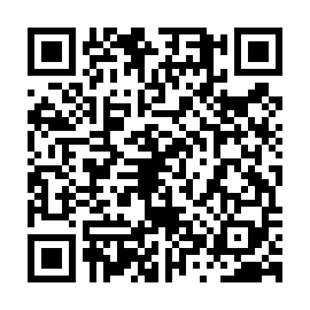 QR code for 0XZD595