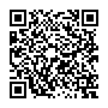 QR code for 0YIN241
