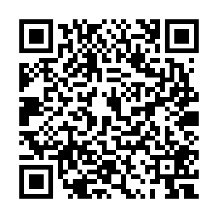 QR code for 0ZPV095