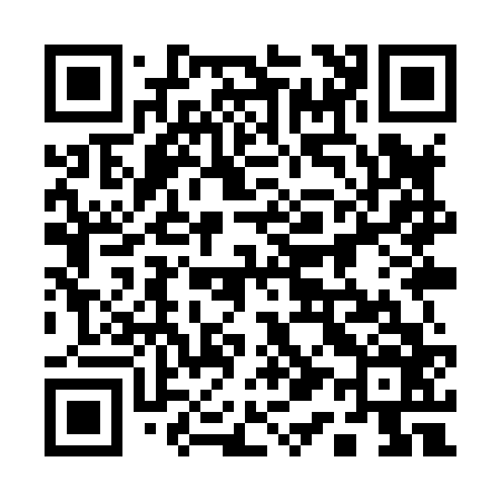 QR code for 119X66