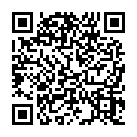 QR code for 13091Z1