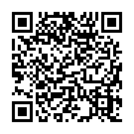 QR code for 13313Z1