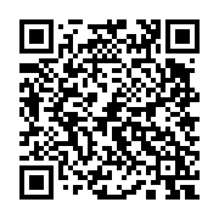 QR code for 16540Z