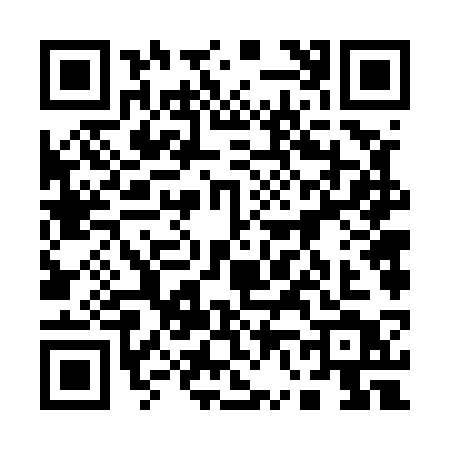 QR code for 16653T2