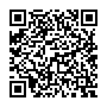 QR code for 17291Z2