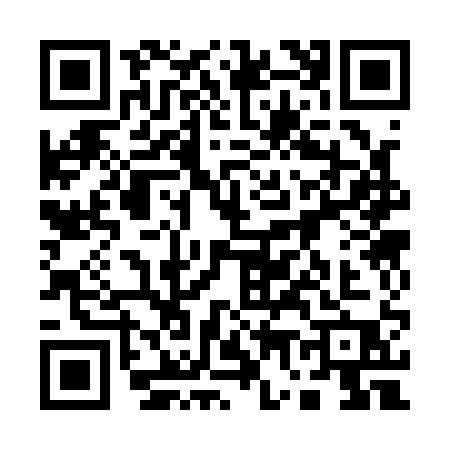 QR code for 17311P2
