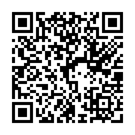 QR code for 1BGS336