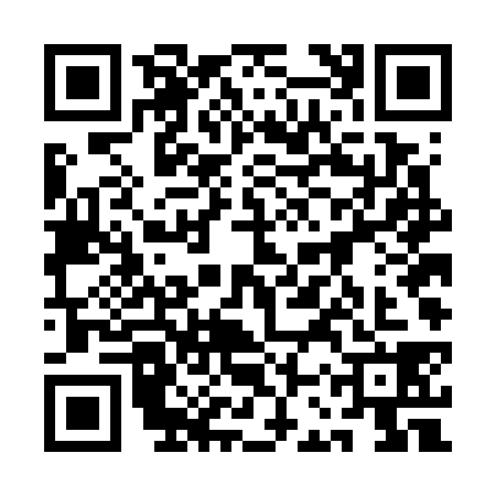 QR code for 1CTG387