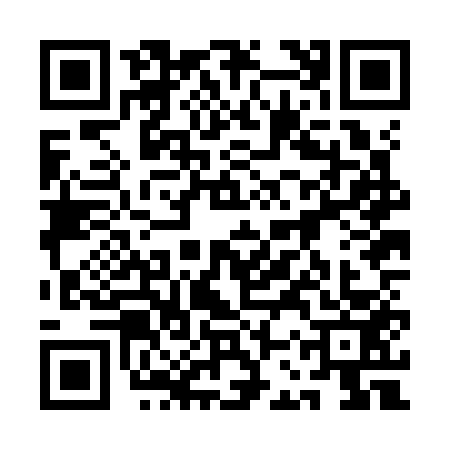 QR code for 1CZK533
