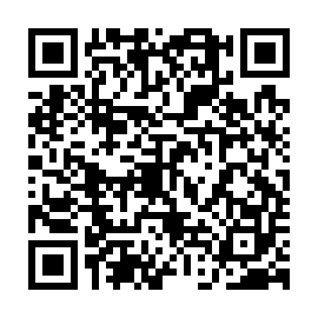 QR code for 1DBG528
