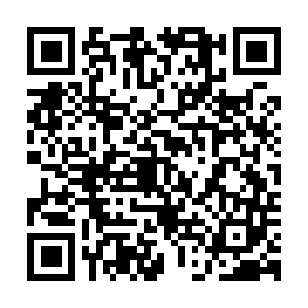 QR code for 1DCI439