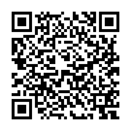 QR code for 1DEI513