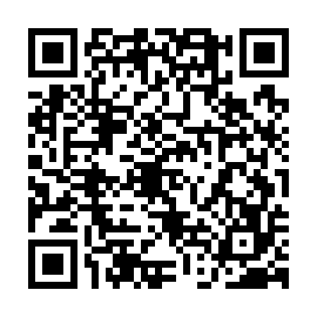 QR code for 1DMG560