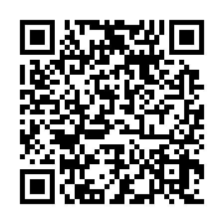 QR code for 1DNS388