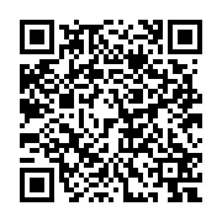 QR code for 1DQG233