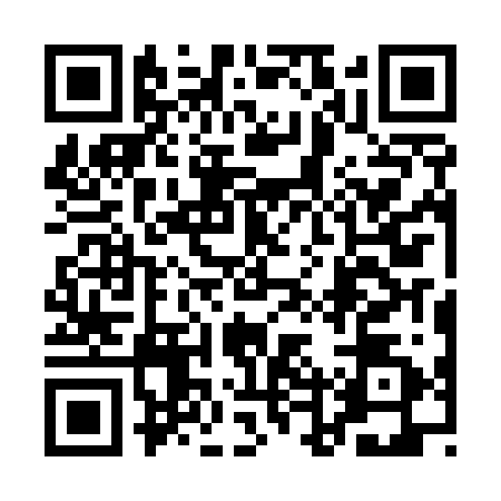 QR code for 1DSE228