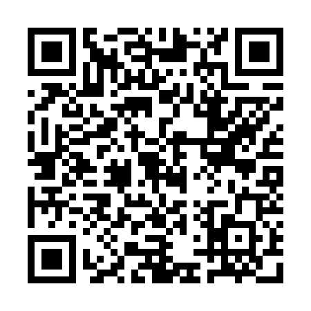 QR code for 1DSF203