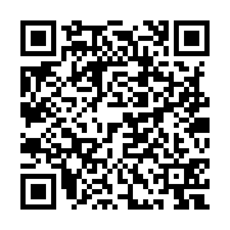 QR code for 1DSY318