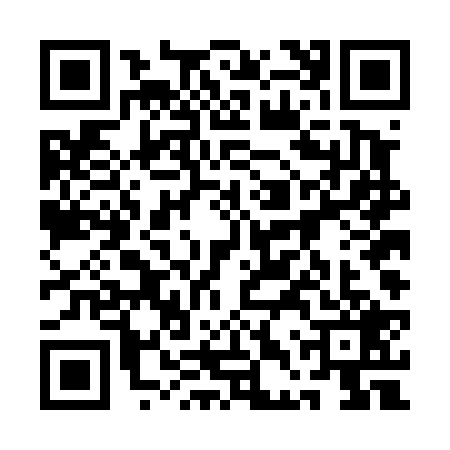 QR code for 1DTD295