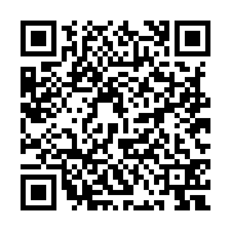 QR code for 1FEI328