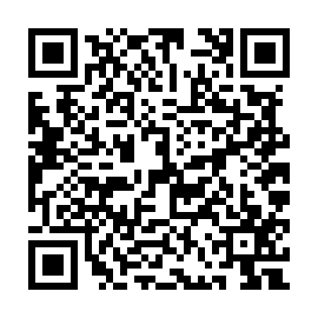 QR code for 1FVM173