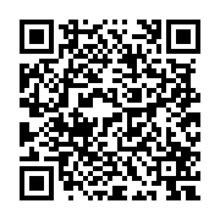 QR code for 1HGM079