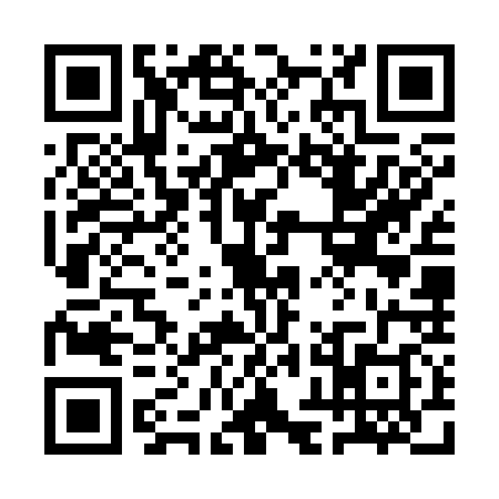 QR code for 1HGS389