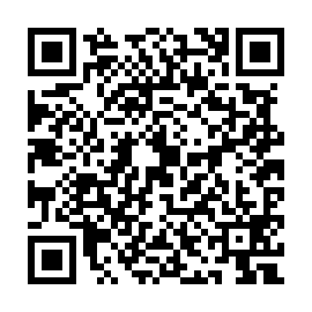 QR code for 1IBM993